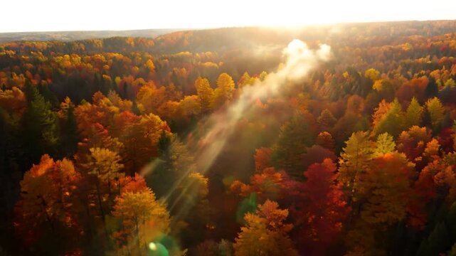Sunlight pierces the autumn foliage, casting a warm glow over trees dressed in gold, orange, and red hues during late afternoon