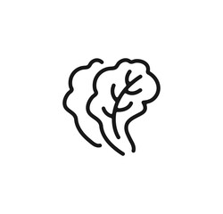 Lettuce outline icon