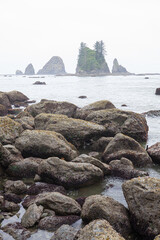 Rocky coat of the Olympic National Park, Pacific Ocean, coast line, Dramatic Rocky Coastline