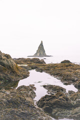 Tidal pools of the Olympic National Park, Pacific Ocean, coast line, Dramatic Rocky Coastline