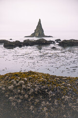 Tidal pools of the Olympic National Park, Pacific Ocean, coast line, Dramatic Rocky Coastline