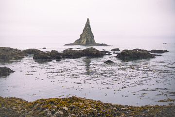 Tidal pools of the Olympic National Park, Pacific Ocean, coast line, Dramatic Rocky Coastline