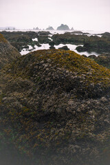 Tidal pools of the Olympic National Park, Pacific Ocean, coast line, Dramatic Rocky Coastline