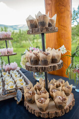 Outdoor wedding decorations, cupcake dessert table