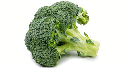 A whole broccoli isolated on white