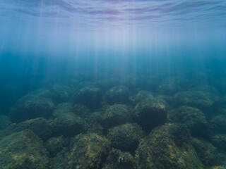 Underwater landscape in the Mediterranean Sea off the coast of Nice in southern France, seabed and rocks.