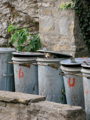 Cat inside a rubbish bin