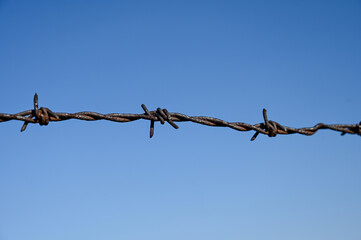 Barbed wire against blue sky. Rusty metal wire fence. Symbol of concentration camp, prison, jail,...