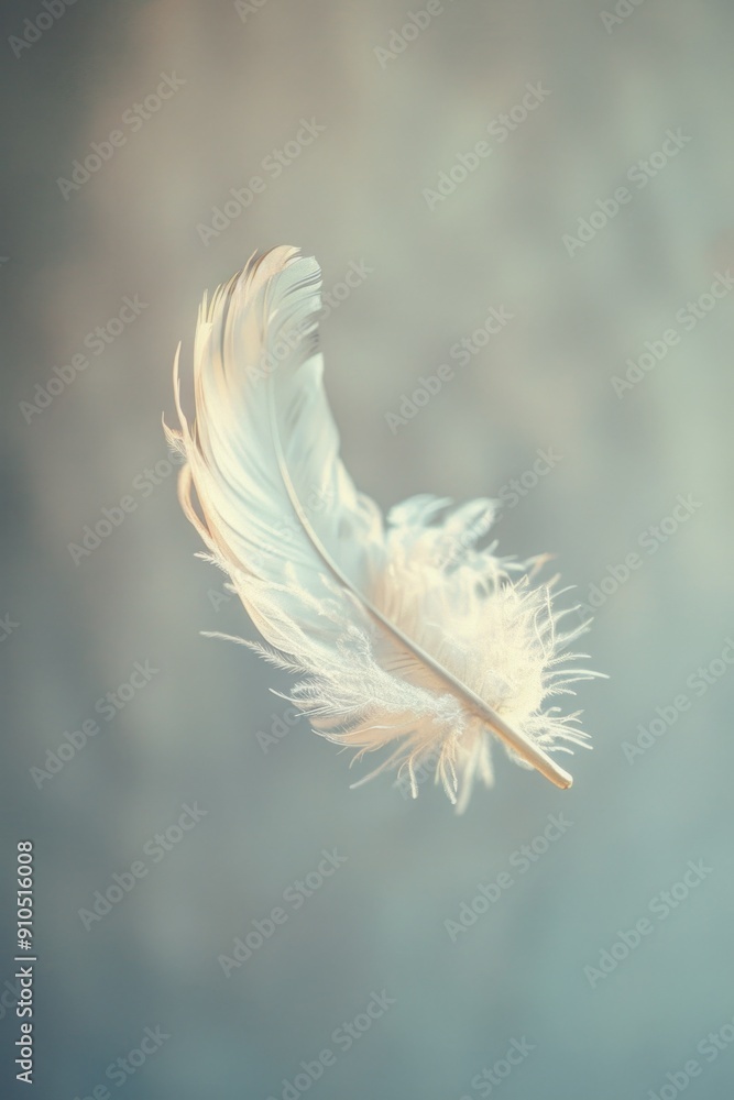 Poster a single white feather floats gently in mid-air, isolated on a blank background