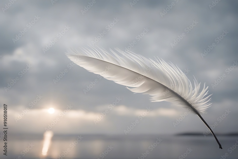 Aufkleber feather swan isolated bird single individual object waft light black1 smooth fragile concept person 
