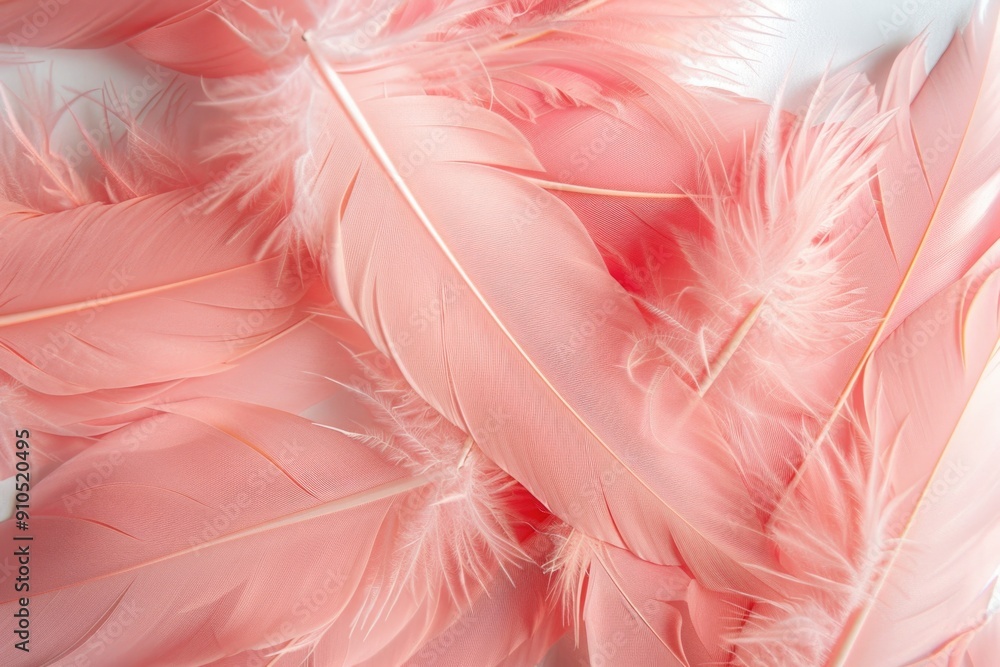 Poster a close-up view of a bunch of pink feathers, ideal for use in design or photography projects where a