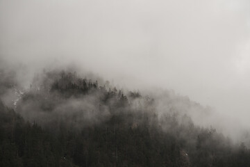 fog in the mountains