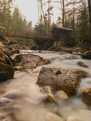stream in the forest