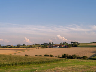 Sommerlandschaft im Mostviertel, Niederösterreich