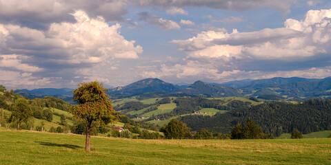 Sommerlandschaft im Mostviertel, Niederösterreich