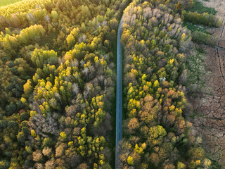 aerial view over forest and road