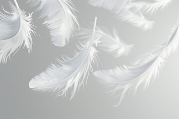 Obraz premium A cluster of white feathers suspended in mid-air, with soft focus and subtle lighting