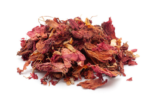 Close-up of Dry Organic Hibiscus (Hibiscus rosa-sinensis) flowers, isolated on a white background. Front view.