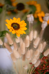 Sonnenblumen