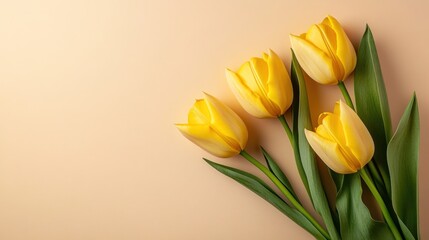 Menopause concept with yellow tulips on a beige background with copy space for text.