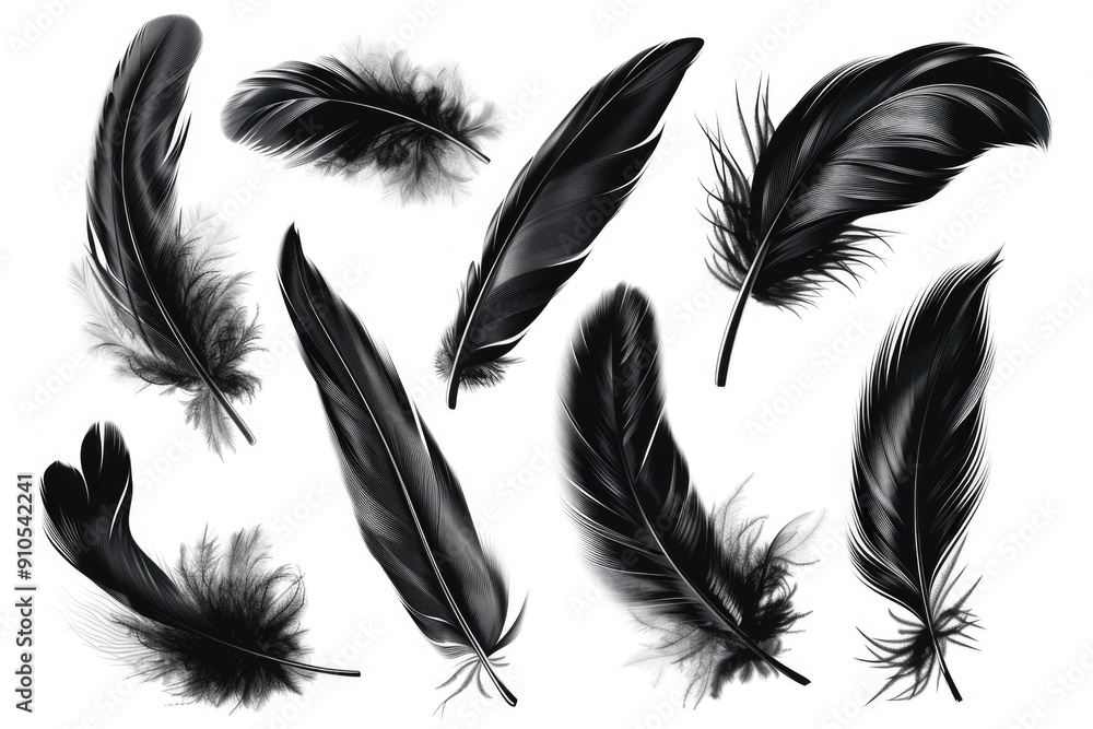 Poster a close-up shot of black feathers arranged neatly on a white surface