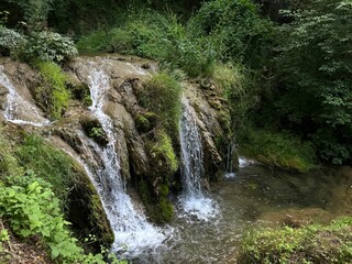 waterfall in the forest
