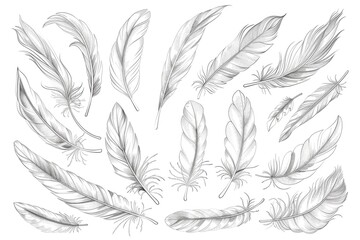 Obraz premium A collection of colorful feathers gathered together