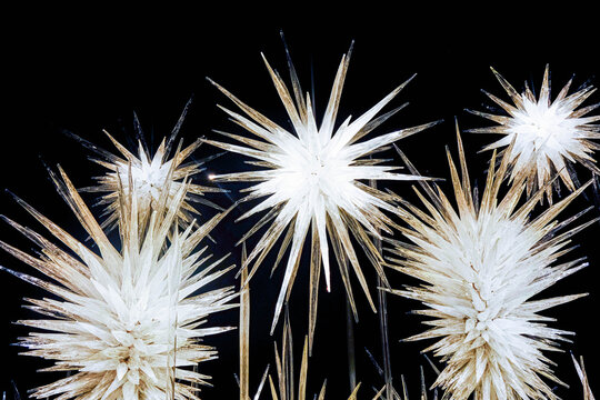 White Chihuly Glass Exhibit at Seattle Center