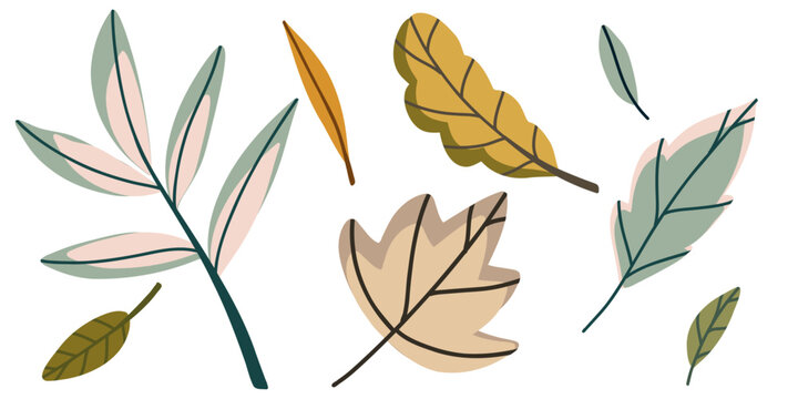 Autumn leaves of different colors and shapes. Set of vector illustrations for the harvest festival for posters, banners, cards. Isolated hand drawn clipart