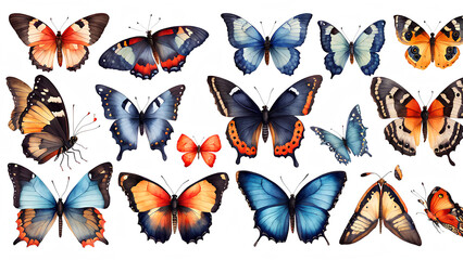 Obraz premium Beautiful Watercolor Tropical Butterflies