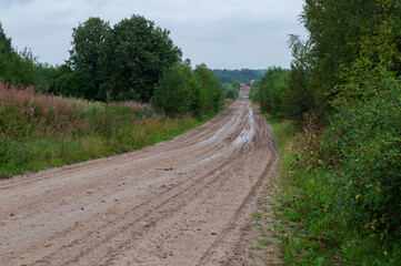Dirt road through the forest after rain, summer day