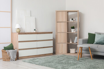 Chest of drawers, shelving unit and sofa in interior of living room