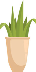 Green plant growing in a beige pot with long leaves, perfect for home decoration