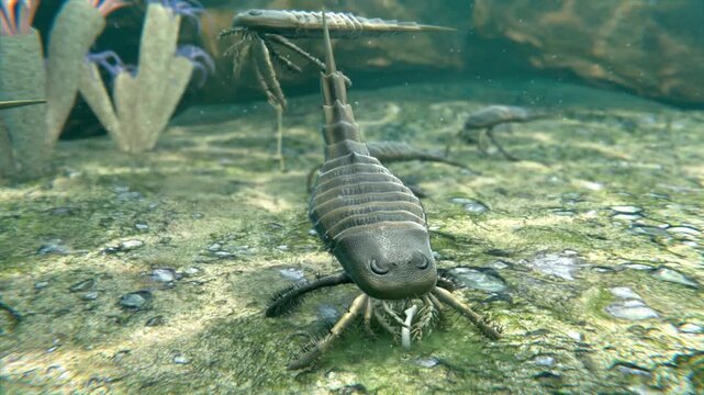 An animation of Eurypterus (Sea Scorpion) attacking and eating a worm on a Silurian Period sea floor 418 million years ago. Eurypterids were aquatic arthropods related to spiders and scorpions.