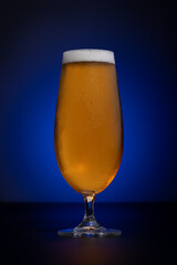 Glass of Cold Lager on a Black Background with Blue Glow