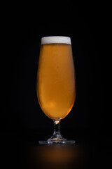 Glass of Cold Lager on a Black Background