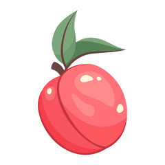 Ripe peach isolated on white background. Fruit sticker. Whole pink peach with leaves close up. Fresh ripe fruit top view. Natural food. Vector illustration for healthy lifestyle, good nutrition