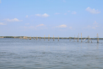 Green mangrove ecosystem forest landscape. located in Chantaburi in Thailand. Tourists to come and relax.