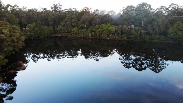 Beautiful lakes everywhere set amongst lush woodland and plants at Pemberton WA