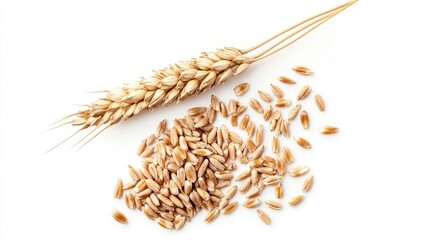 Wheat Grains and Ear Spilled on White Background