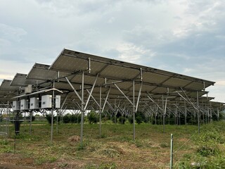 農地に建てられた太陽光パネル 少し高めの足組で下にはスペースがある