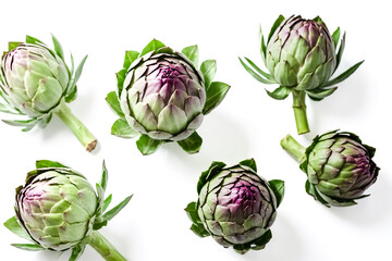 Obraz premium Close up of Artichoke Flower Buds on White Background