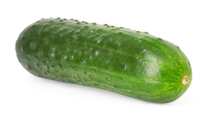 One fresh green cucumber isolated on white