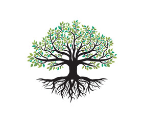 elegant oak tree logo illustration, strong roots