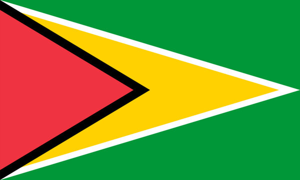 The official national flag of Guyana. Flag of the Co-operative Republic of Guyana. Correct proportions and colors. Vector illustration