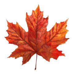 Obraz premium A vibrant red maple leaf showcasing the beauty of autumn colors, perfect for seasonal and nature-themed designs. transparent background