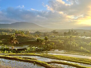 landscape with jatiluwih rice terrace in the background