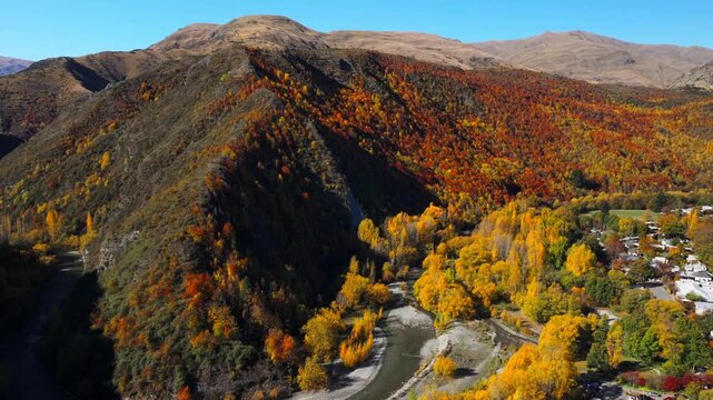 Aerial View of Autumn Forest with Yellow and Red Leaves in Arrowtown, New Zealand