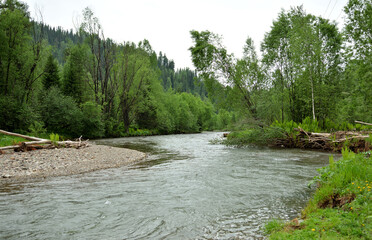 A winding bed of a shallow but stormy river with pebbly banks flowing through a dense forest on a...