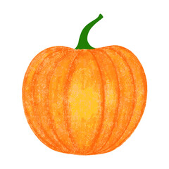 Pumpkin vegetable isolated on transparent background. Vector illustration